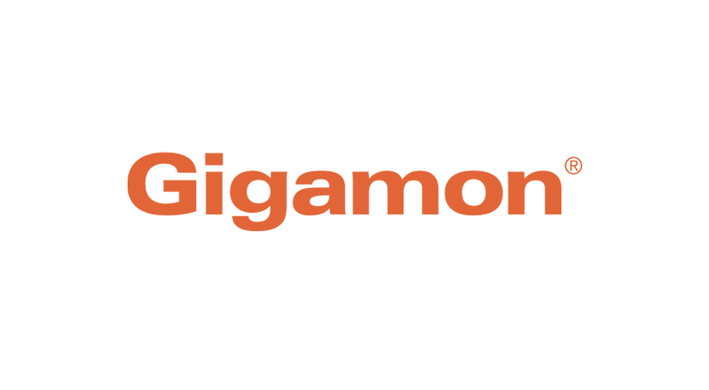 gigamon-490x270